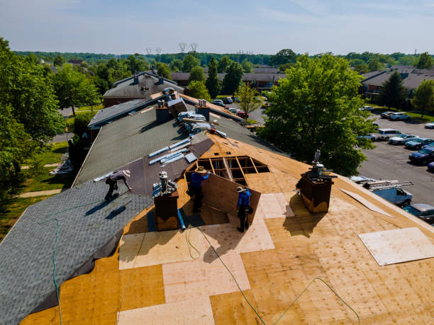 Quick and Trustworthy Emergency Roof Repair Services in Mount Hermon, CA