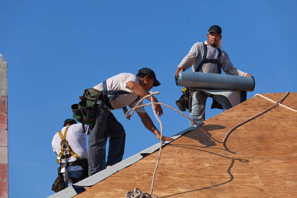 Best Roof Maintenance Services  in Mount Hermon, CA
